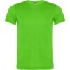 VERDE FLUOR