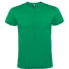 VERDE KELLY