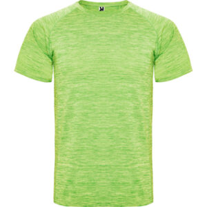 Roly-CAMISETAS