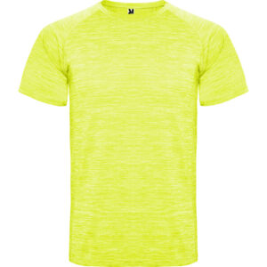 Roly-CAMISETAS