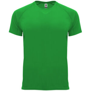 Roly-CAMISETAS