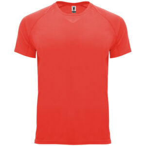 Roly-CAMISETAS