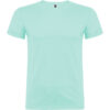 VERDE MENTA