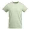 VERDE MIST