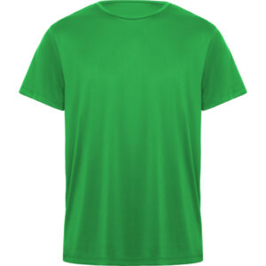 Roly-CAMISETAS
