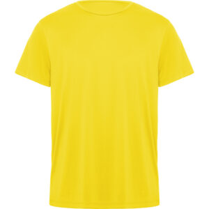 Roly-CAMISETAS