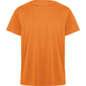 Roly-CAMISETAS
