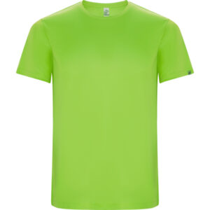 Roly-CAMISETAS