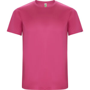 Roly-CAMISETAS
