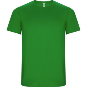 Roly-CAMISETAS