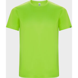 Roly-CAMISETAS