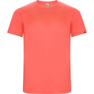 Roly-CAMISETAS
