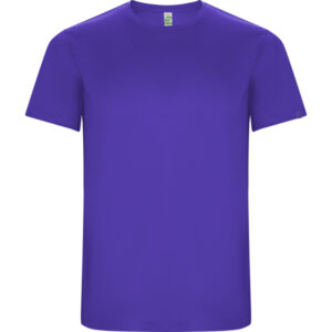 Roly-CAMISETAS