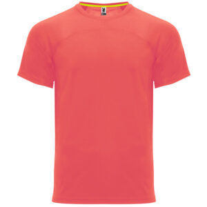 Roly-CAMISETAS