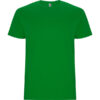 VERDE GRASS
