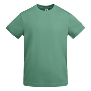 Roly-CAMISETAS