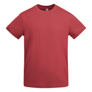 Roly-CAMISETAS