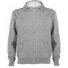 GRIS VIGORE