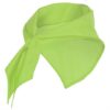 VERDE MANTIS