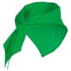 VERDE IRISH