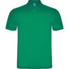 VERDE KELLY