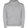 GRIS VIGORE