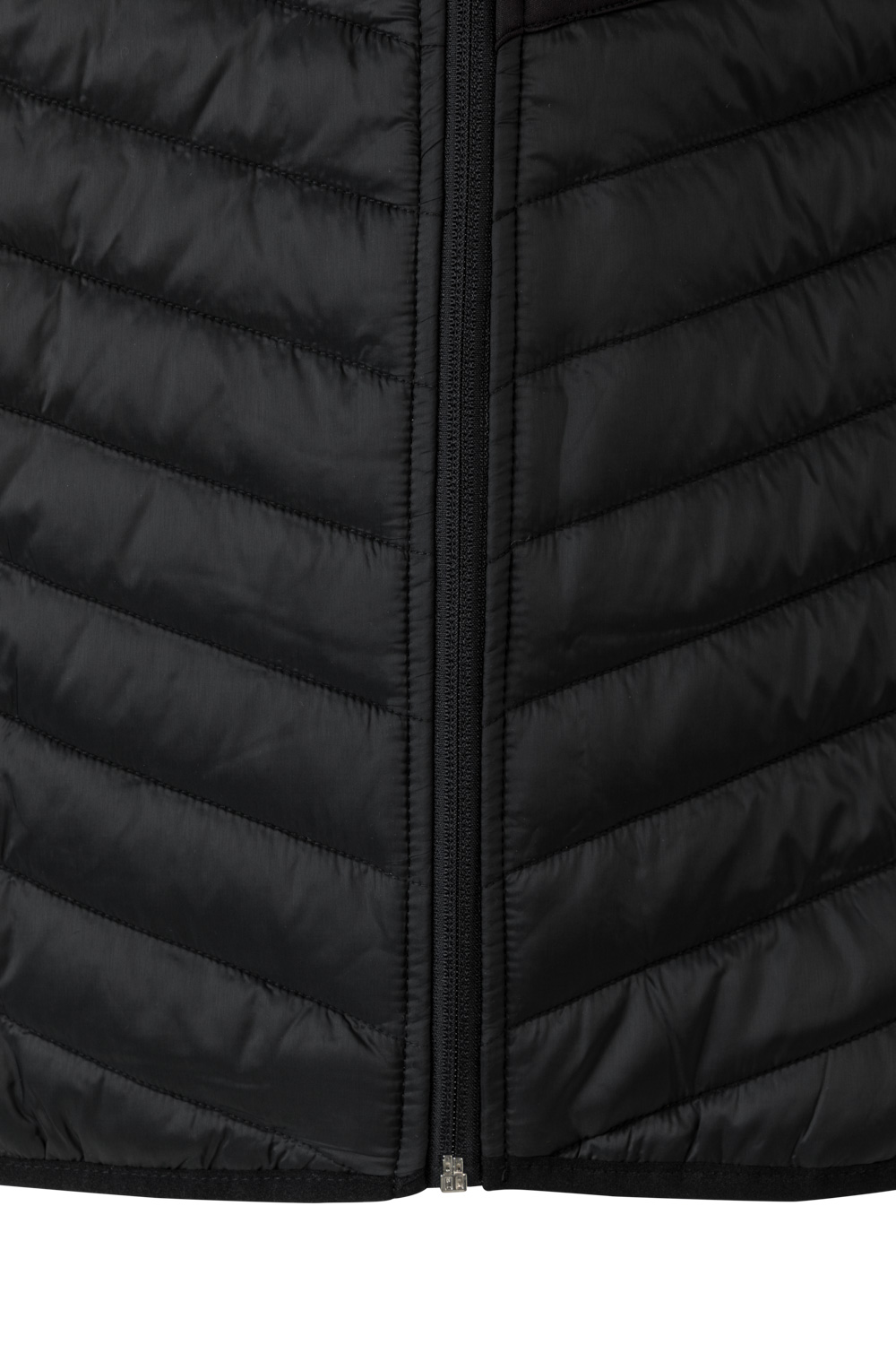 VELILLA 206009 CHAQUETA ACOLCHADA LIGERA - Imagen 3