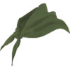 VERDE CAZADOR