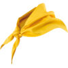 AMARILLO