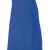 AZUL REY