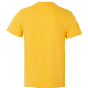 VELILLA 5010 CAMISETA 100% ALGODÓN - Imagen 40